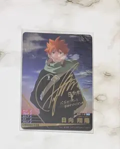 ハイキュー‼︎ バボカ　日向