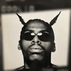 Coolio Too Hot レコード