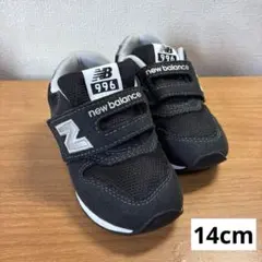 Item thumbnail for item a60d4d1e-4cc9-4b10-9419-df9c5fd085f0