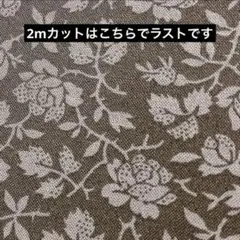 【C135 2m】 YUWA プリント イバラ アンティーク 薔薇