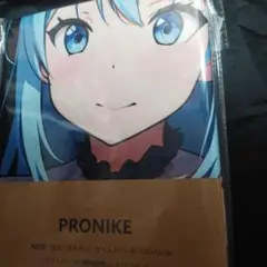 【300円オークション】PRONIKE アクア　バスタオル シークレット