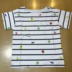 INSECT COLLECTION 昆虫 ボーダー Tシャツ Lサイズ 120のサムネイル