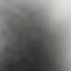 Item thumbnail for item 02c0e205-85e0-4de4-ba14-8afb64b4ae50