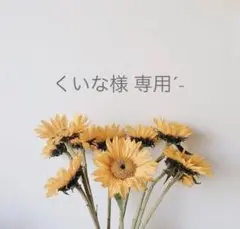 Item thumbnail for item 576c94f6-ca48-4f3a-b2c7-1f5859c7335e