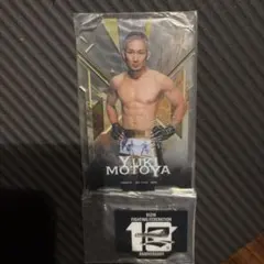 Item thumbnail for item d8afa20e-78d7-4e54-b862-477e1a9c01a1