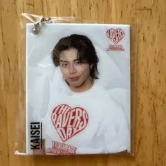 武知海青 オリジナルキーホルダー