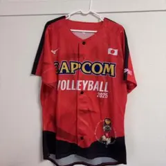 2025年最新】バレーボールネーションズリーグの人気アイテム