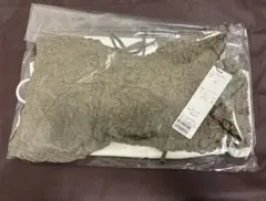 Item thumbnail for item 7f746503-9fea-45e6-8b1d-40fc067e03b5