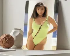 ブリキ看板　かとうれいこ　巨乳　水着　メタルサイン　セクシー　レトロ風