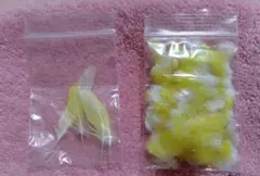 羽根