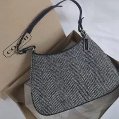 【美品】COACH コーチ ワンショルダー ハンドバッグ ホーボー y2k