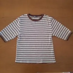 Kastane 茶色と白のストライプ Tシャツ 五分丈