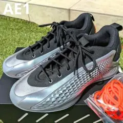 バッシュ　AE1 Adidas AE 1を履いたプレイヤー達のレビューまとめ。スペックや