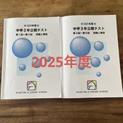 2026年最新】馬渕到達テストの人気アイテム - メルカリ