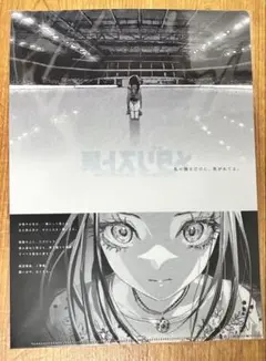 メダリスト展 A4クリアファイル 岡崎いるか 新聞広告デザイン 愛知会場