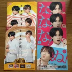 【非売品】ガルボ 購入特典Sexy Zone 中島健人 菊池風磨