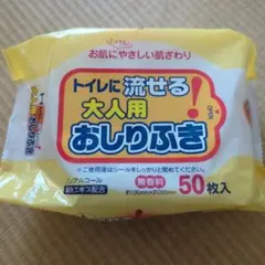 介護用　おしりふき 50枚入　22パックのサムネイル