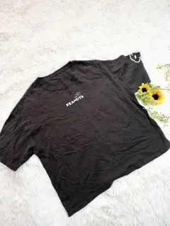 a207　PEANUTS スヌーピー　Ｔシャツ　美品　ユニセックス　大きいサイズ