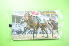 フォーエバーヤング　坂井瑠星　トレーディングカード 2026年最新】坂井瑠星 カードの人気アイテム - メルカリ