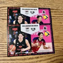 アルバルク東京 テーブス海 東京グレートベアーズ 深津旭弘 ポストカード2枚