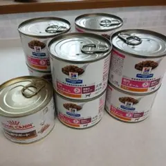 Item thumbnail for item e901d8a4-1cdc-4956-977e-8971eab10334