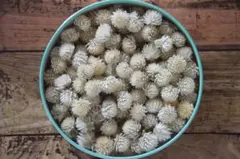 Item thumbnail for item 370eeeaa-7609-4242-95a5-dae1922672f2