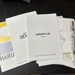 HARUMI FLAG SKY DUO 晴海フラッグ パンフレット
