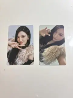 ニンニン タレントカード