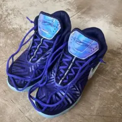 Nike LeBron NXXT Gen Monopoly バスケットボールシュ