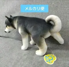 いぬ ぬいぐるみ わんこすたいる しょーんのサムネイル