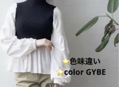 リブ編みタートルネックフレアスリーブトップス