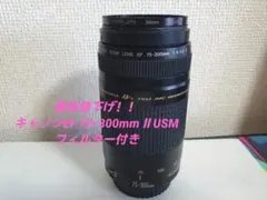 キャノンEF 75-300mm Ⅱ USM フィルター付きのサムネイル