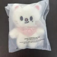 SKZOO PLUSH 10CM SKZ 5CLOCK ペンミ ジニレット