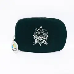 【激レア】期間限定 GBAポーチ Discover Friends! アチャモ