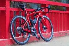 2026年最新】PINARELLO 付属品：保証書 ロードバイクの人気アイテム 