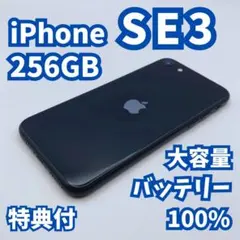 【スガキヤちゃん様 専用】iPhone SE3（第3世代）256GB