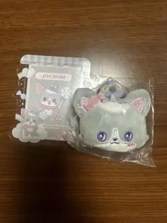 JOCHUM チュララ　硬質カードケース　ブローチ
