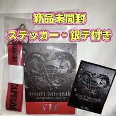浜崎あゆみ VIP席 特典 ラミネートパス ステッカー 銀テ scapegoat