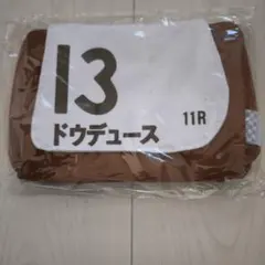 Item thumbnail for item be31cece-ff2d-4564-a929-6449368521a6