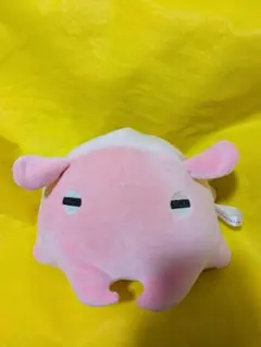 メンダコ めんだこ ぬいぐるみ S エアくじ サンシャイン水族館 - メルカリ