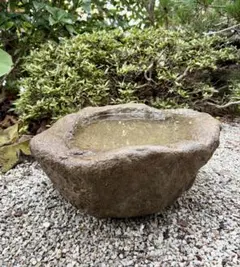 天然自然石・水鉢・石鉢・蹲・縁先手水鉢】庭石オブジェ置物箱庭バード