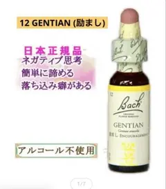 【10/13迄値引き】フラワーレメディ ゲンチアナ フラワーエッセンス 正規品
