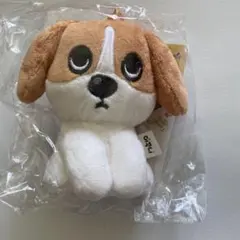 BTOB チャンソプ 15cm ドール ぬいぐるみ BTOB チャンソプ YouTube キャラクター ミニサイズぬいぐるみ