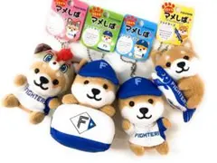 旅するマメしば新潟限定4種セット 新品タグ付き - メルカリ
