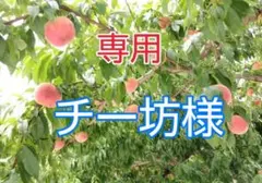 ☆専用 チー坊さま 2箱同梱【加工用 】≪5kg箱≫桃 川中島白桃 (訳あり)
