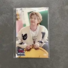 【 新品未開封 】 SKZ TOY WORLD スンミン