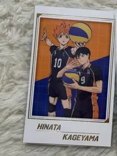 ハイキュー!! 烏野高校 日向翔陽 影山飛雄 キャラポトレ フォト