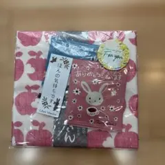 ら*ん様 白雪姫 白雪ふきん ハンカチ りんご柄のサムネイル