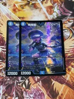飛翔龍5000vt アセビ 2枚 - メルカリ