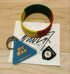 オードリー　ANN 東京ドーム　ピンバッジ　あちこち　アクキー　ラバーバンド